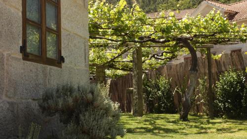 a tree in a yard next to a fence at Casa Rural A Bouciña in Hio