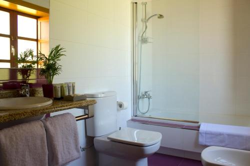 a bathroom with a toilet and a shower and a sink at Casa Rural A Bouciña in Hio