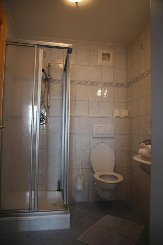 a bathroom with a shower and a toilet and a sink at Haus Obermoser in Flachau