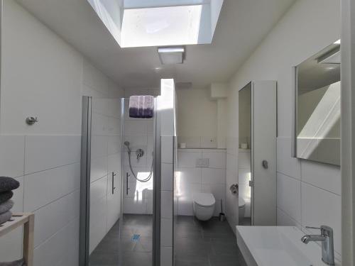 een witte badkamer met een toilet en een wastafel bij Apartments Gezeitenfluss in Tönning