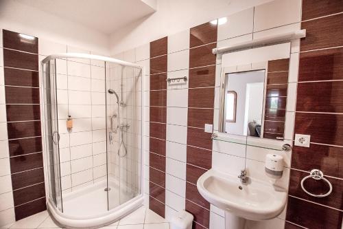 a bathroom with a shower and a sink and a toilet at SZIGET HOTEL VERÁNKA in Érsekcsanád