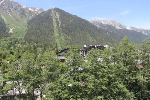 Appt cosy au centre de Chamonix