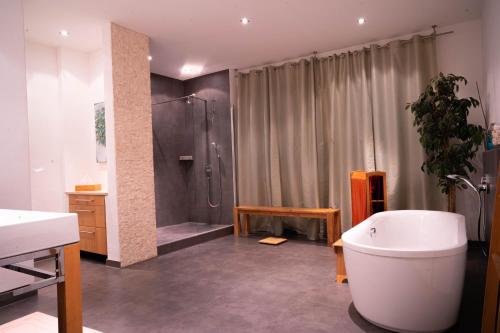 uma casa de banho com uma banheira, um chuveiro e um WC. em Am Spittlerturm em Nurembergue