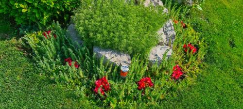 an aerial view of a garden with red flowers at Apartments Villa Krasa in Lovran