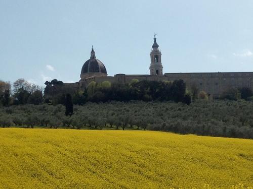 a large yellow field in front of a building at La Dolce Vita in Castelfidardo