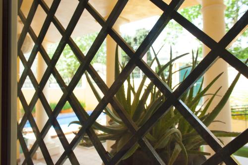 
a view through a window of a garden area at Hotel Boutique Villa Lorena by Charming Stay in Málaga
