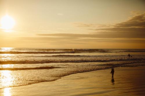 a person walking on the beach at sunset at Vikara in Olón