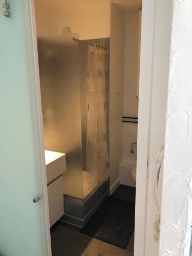a bathroom with a shower and a toilet at Petit moment de Bonheur in Turckheim