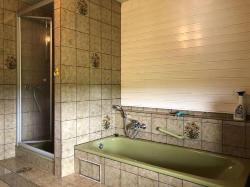 a bathroom with a green tub and a shower at Hofmann Judith in Grassau