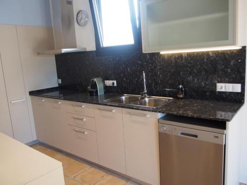 a kitchen with a sink and a counter top at Plaça Major 17 2n 2a Apartament al centre de Banyoles in Banyoles
