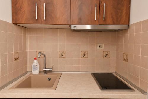 a kitchen counter with a sink and a sink at Apartment Nikola in Belgrade