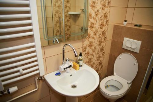 a bathroom with a toilet and a sink at Apartman ANA in Bečej