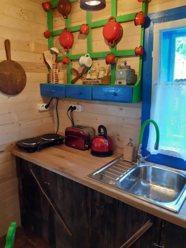 a kitchen with a sink and a counter top at Casa Moroșenilor - Breb in Breb