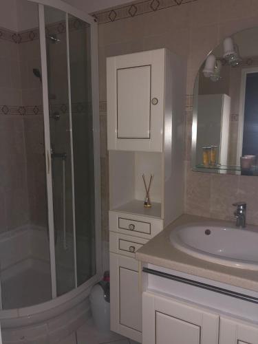 une salle de bain avec douche et lavabo dans l'établissement Cannes center, à Cannes