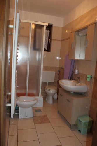 a bathroom with a toilet and a shower and a sink at Haus Milan AP 1 in Fažana