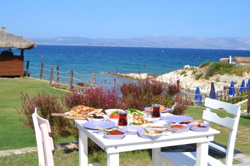 Příroda nedaleko rezortu