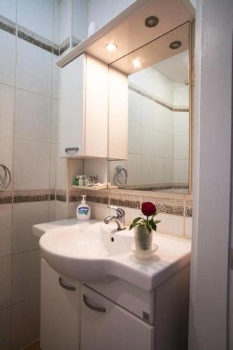 La salle de bains est pourvue d'un lavabo et d'un miroir. dans l'établissement Private Villa Room Near Airport, à Arnavutköy