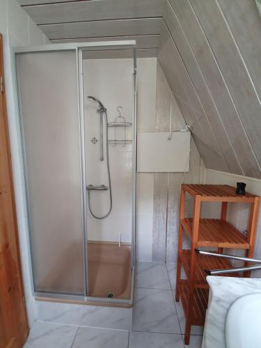 a shower with a glass door in a bathroom at Ferienhaus am Helenesee 5 in Frankfurt Oder