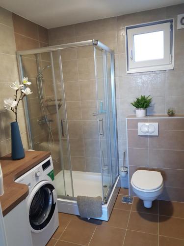 bagno con doccia, servizi igienici e lavatrice. di Ferienwohnung Weizblick a Weiz