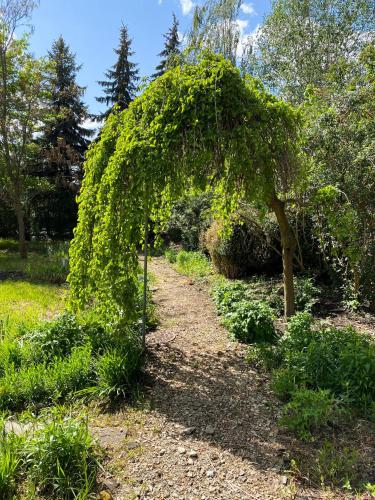 Zahrada ubytování Hotel Garden