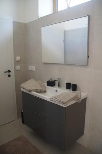 La salle de bains est pourvue d'un lavabo et d'un miroir. dans l'établissement Kirschbluetenappartements, à Breitenbrunn am Neusiedler See