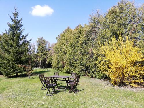 a picnic table and chairs in a field with trees at Kirschbluetenappartements in Breitenbrunn