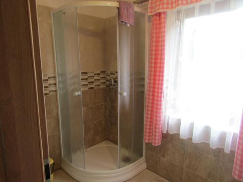 eine Dusche mit Glastür im Bad in der Unterkunft rekreační dům levandule in Jince