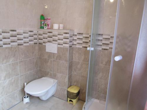 a bathroom with a toilet and a shower at rekreační dům levandule in Jince