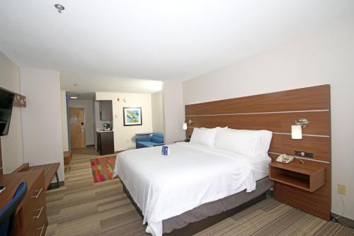 a hotel room with a bed and a television at Holiday Inn Express Hotel & Suites Greensboro-East by IHG in Greensboro