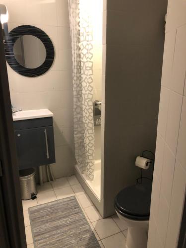uma casa de banho com um WC preto e um espelho. em Auberge des platanes em Villevocance