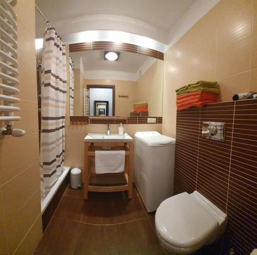 クリニツァ・ズドルイにあるApartament Jaworzynaのバスルーム(トイレ、洗面台、鏡付)