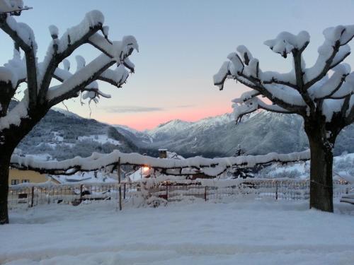 a tree covered in snow with a sunset in the background at Hôtel Le Beauséjour in Saint-François-Longchamp