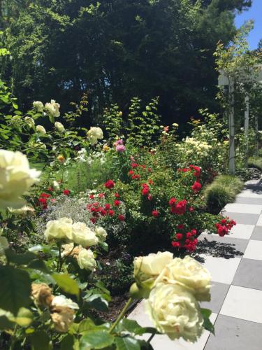 a garden with red and white flowers on a sidewalk at Columbus Suite at 144 on Jones in Omaha