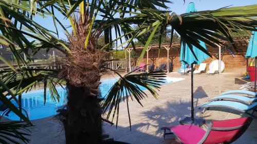 una palmera sentada junto a una piscina en Domaine de la Tarais, en Calorguen