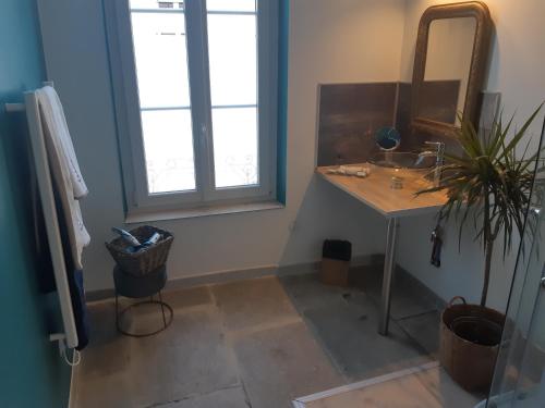 a bathroom with a sink and a mirror and a plant at Suite Privée Bed and Breakfast in Nîmes