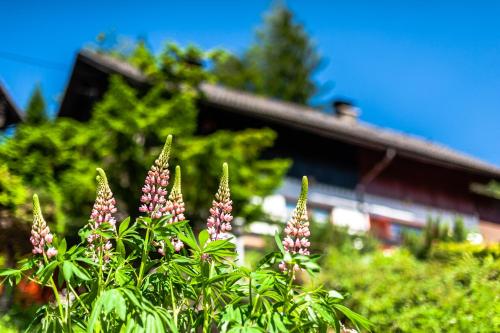 a bush with purple flowers in front of a house at House Moose't Getaway, Kranjska Gora in Kranjska Gora