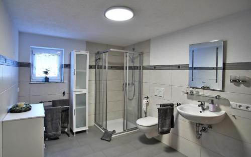 a bathroom with a shower and a toilet and a sink at Albglück in Gammertingen