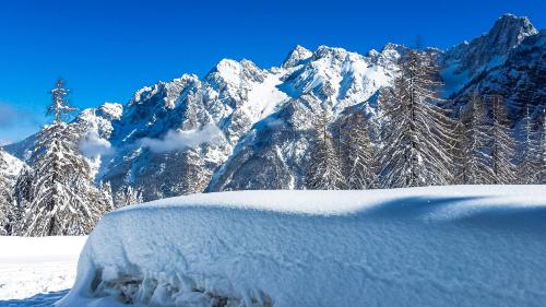 a snow covered mountain range with snow covered trees at House Moose't Getaway, Kranjska Gora in Kranjska Gora
