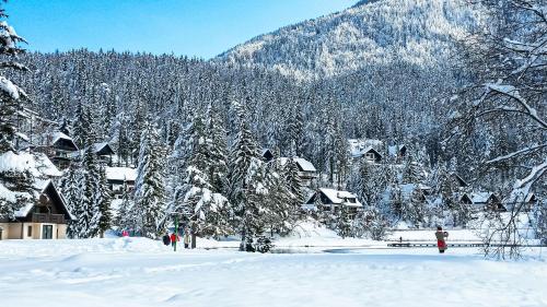 a group of people standing in the snow next to trees at House Moose't Getaway, Kranjska Gora in Kranjska Gora