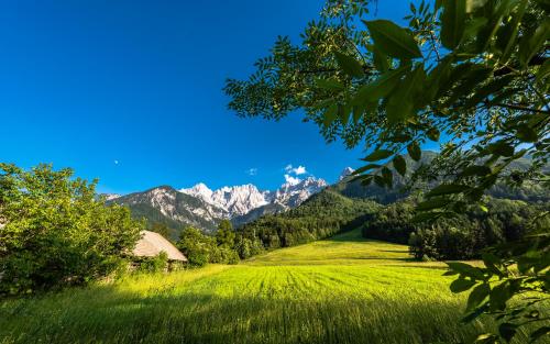 a field of green grass with mountains in the background at House Moose't Getaway, Kranjska Gora in Kranjska Gora