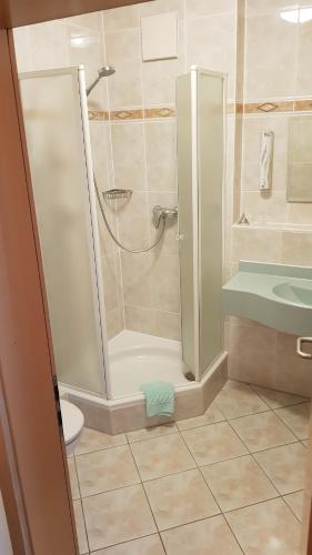 艾夏的住宿－Hotel Gasthof Specht，带淋浴、卫生间和盥洗盆的浴室