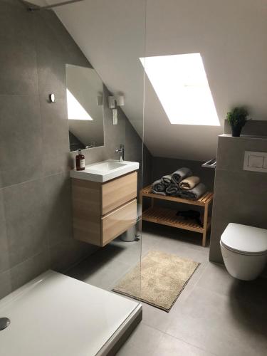 a bathroom with a sink and a toilet and a skylight at mama käthe - Apartments in Nenzing