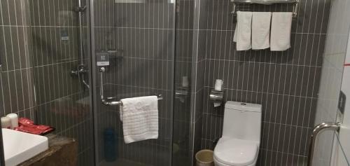 a bathroom with a shower with a toilet and a sink at Thank Inn Chain Hotel Hunan Hengyang Nanyue District Hengshan Road Nanyue Temple in Hengyang