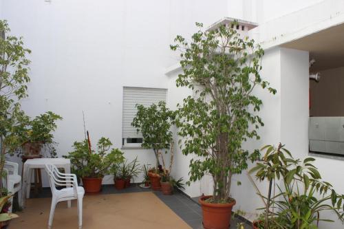 a courtyard with trees and a white wall at Dom Fernando I in Loulé