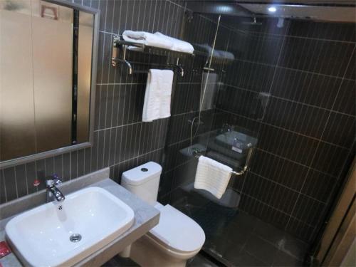 La salle de bains est pourvue d'un lavabo, de toilettes et d'une douche. dans l'établissement Thank Inn Chain Hotel Tianjing Jingnan District Balitai Town Industrial Park, à Tianjin