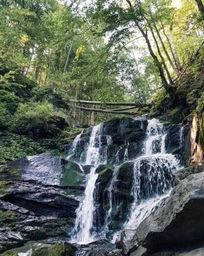 a waterfall in the middle of a forest at Sadyba Domashniy zatyshok in Pilipets