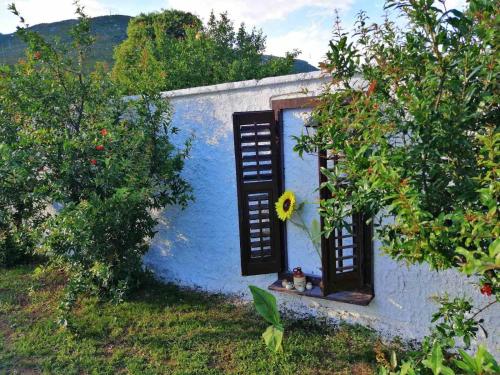 Κήπος έξω από το Vacation house Vila Guma Rastani Mostar