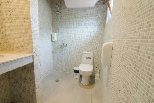 a small bathroom with a toilet and a shower at Elinor Complex in Haskovo