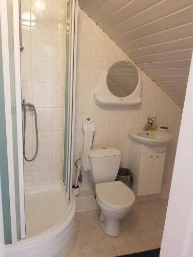 un bagno con wc, doccia e lavandino di LivingPalanga Meta3 a Palanga