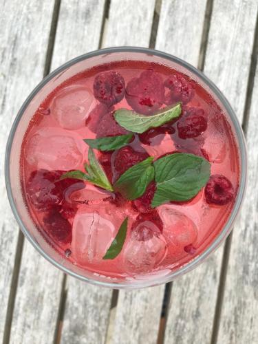 a drink with berries and ice in a glass at Ty Mawr Country Hotel & Restaurant in Carmarthen